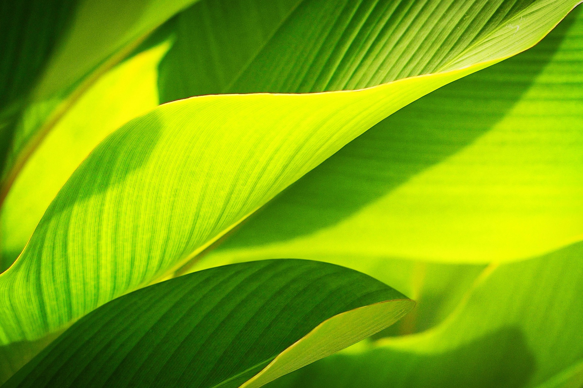 inos takes responsibility – economic, environmental and social.